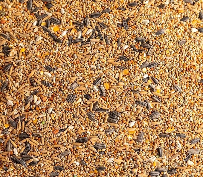 Mix Seeds for Birds | Healthy All Natural Seed Mix for All Varieties of Birds (10 Kg),All Life Stages